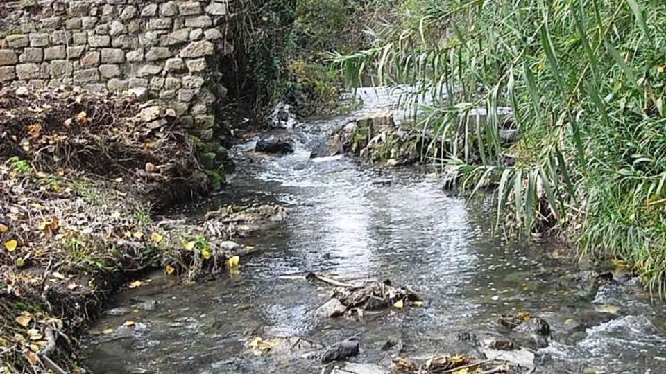 560-ba711b2bb3759fa5b5294f22213a808bjpg