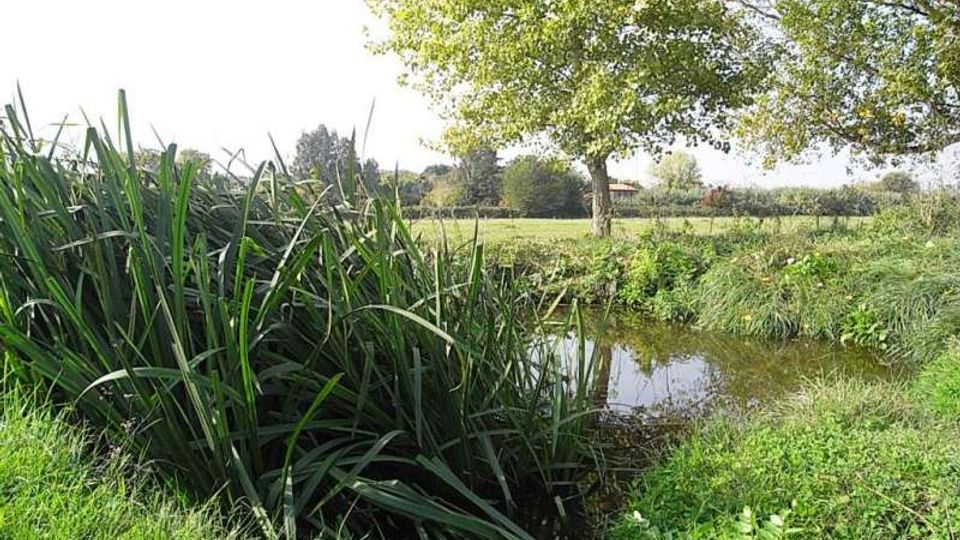 560-edc23822510adfc78ce07c4aee094159jpg