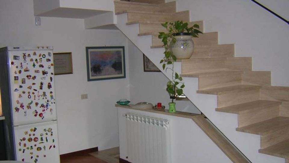 477-3a9d5fe1fe759113a4417c4af529607cjpg