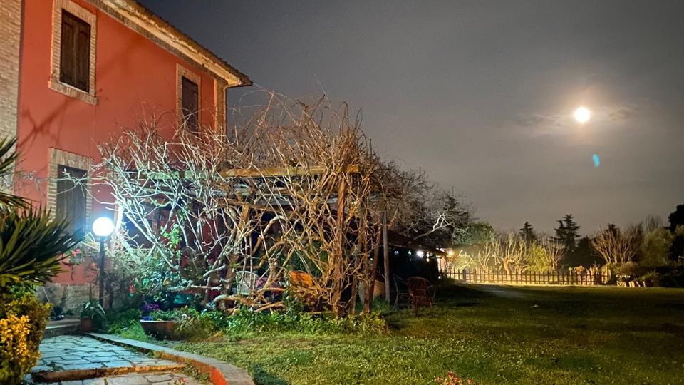 Giardino notturno accanto a una casa in muratura rossa, con vialetto in pietra, aiuole e piccoli lampioni. Sul prato si vede una pergola coperta da rami spogli e, sullo sfondo, alberi e recinzione sotto un cielo con la luna.