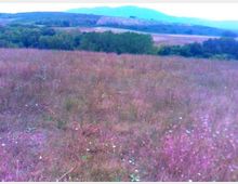 525-8e977396d0d4330f088cc8140d38825fjpg