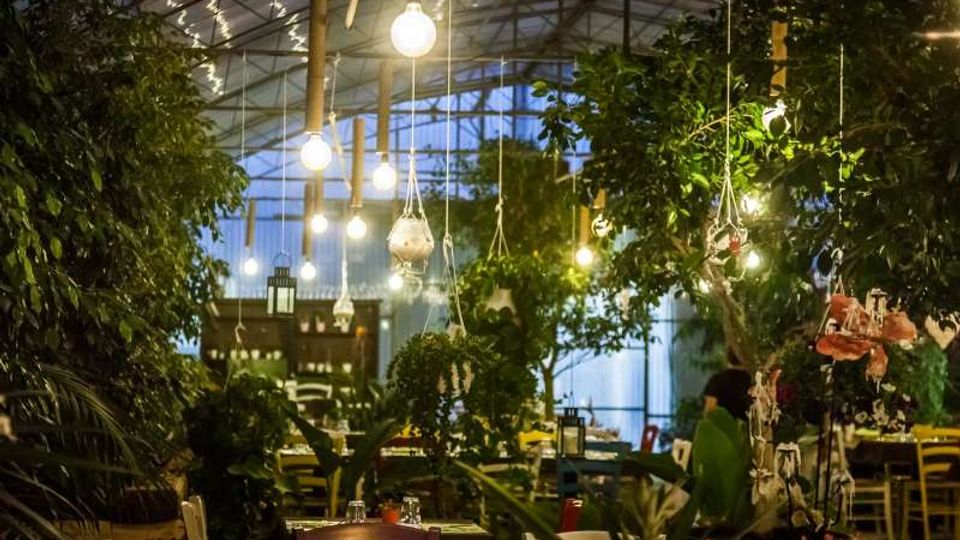 Interno di un ristorante in stile serra, con tetto trasparente e numerose luci a sospensione. La sala è circondata da vegetazione rigogliosa, con tavoli e sedie tra piante e alberelli e grandi vetrate sullo sfondo.