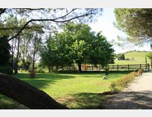 Ampio prato alberato in campagna con grandi alberi che fanno ombra e una recinzione in legno sullo sfondo. A destra si vede un vialetto di ghiaia con bordura di piante e, oltre la staccionata, campi ondulati e alcuni edifici rurali lontani.