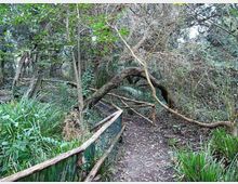 612-a05f436fdc95e0aa9893e83f1b1dc309jpg