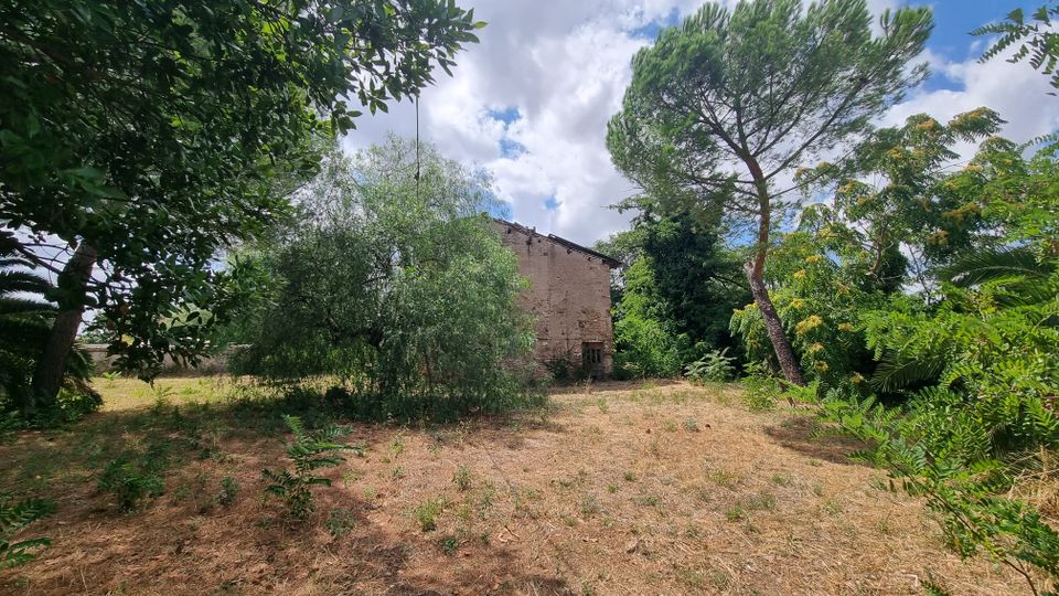 Vista di un’area rurale con terreno secco e alberi fitti che circondano un edificio in muratura dall’aspetto rustico. Un alto pino spicca sulla destra, con cielo parzialmente nuvoloso sullo sfondo.