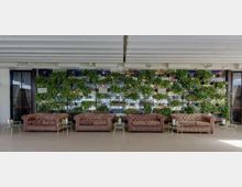 Ampia area lounge interna con soffitto a pannelli bianchi e fila di divani capitonné marroni affiancati da piccoli tavolini in metallo. Sullo sfondo, una grande parete verde con piante e moduli decorativi a griglia.