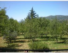 1198-9c85cabe548e1516b37c3b21bf11d5a8jpg