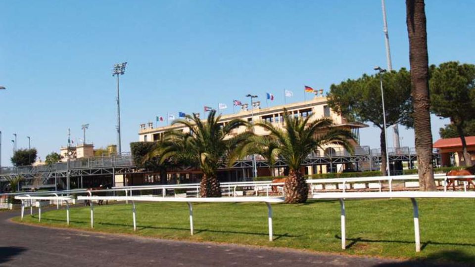 Veduta di un ippodromo con pista asfaltata in primo piano e recinzioni bianche che delimitano il prato. Sullo sfondo si vede una tribuna bassa con passerelle metalliche, bandiere sul tetto, alte torri faro e palme e pini intorno.