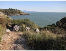 52548-photo-parco-di-gianola-e-scauri-1-jpgjpg