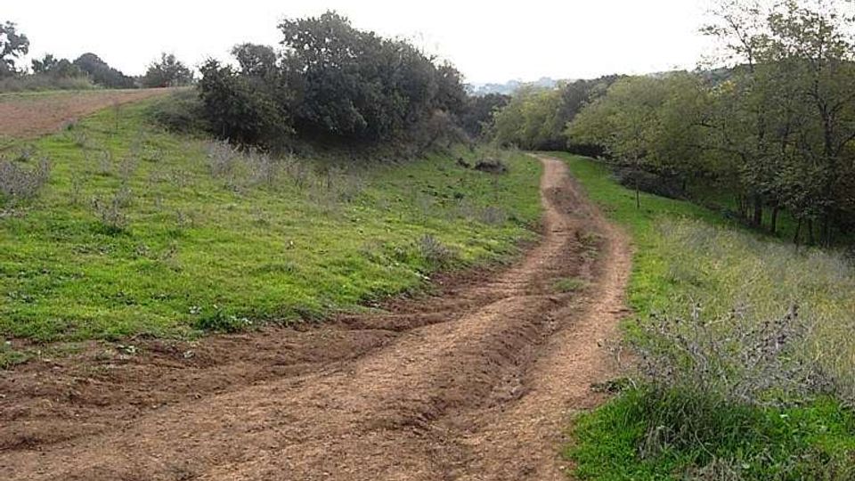 560-3513a27a79838af8591ef7cb5e42d56ejpg