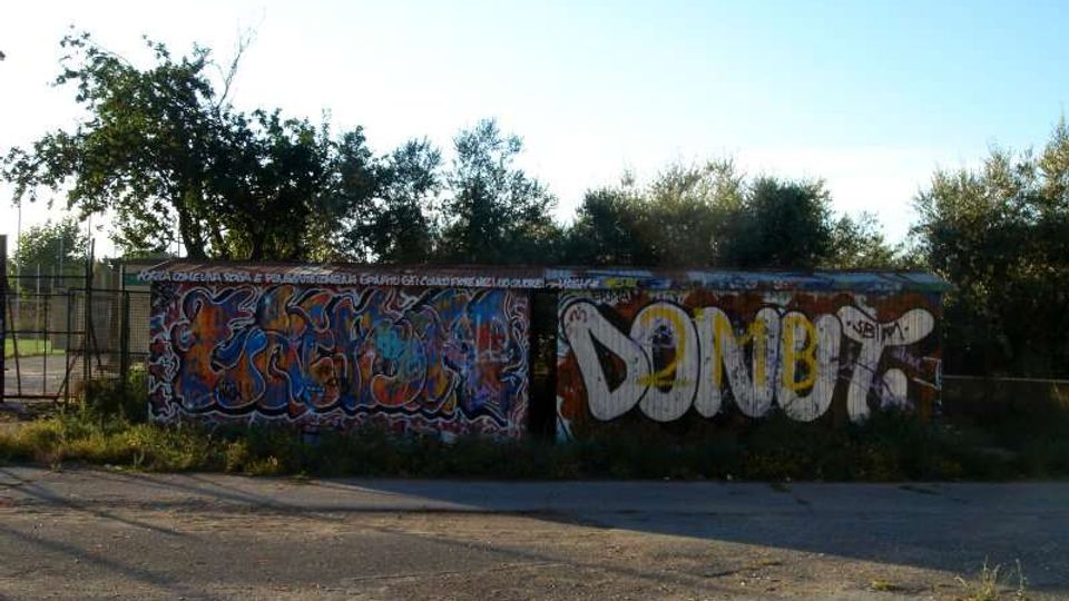 Muro basso lungo una strada asfaltata, coperto da grandi graffiti colorati e scritte in stile street art. Dietro il muro si vedono recinzioni metalliche, vegetazione fitta e alberi sotto un cielo sereno.