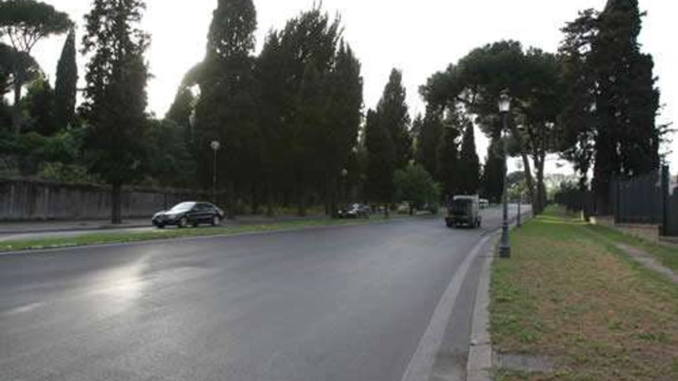 Ampio viale asfaltato quasi vuoto, fiancheggiato da alti alberi e lampioni, con marciapiede e fascia di prato sul lato destro. Sullo sfondo si intravedono alcuni veicoli e una recinzione lungo la strada.
