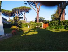 Giardino residenziale con ampio prato, siepi alte e grandi pini marittimi; sulla destra c’è un cancello in legno inserito nella recinzione. In primo piano si vedono un vaso in terracotta e alcune piante ornamentali, con ombre lunghe sul prato e montagne sullo sfondo.