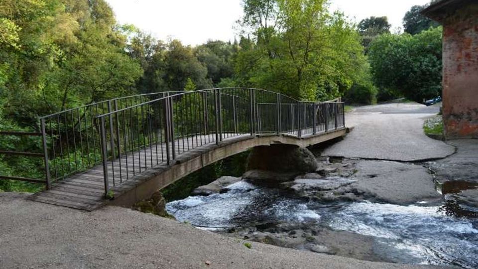 51879-photo-130692785-jpgjpg