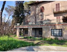 58036-photo-img-20210311-124626-jpgjpg