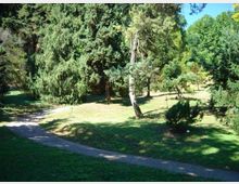 Sentiero curvo in ghiaia che attraversa un parco con prato e alberi ad alto fusto, tra cui conifere e altre chiome dense. Area verde aperta con luce solare e zone d’ombra tra gli alberi.