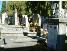 Cimitero con tombe e monumenti funerari in pietra disposti in file, alcune con croci e vasi di fiori. Sullo sfondo si vedono cappelle e alti alberi sempreverdi che ombreggiano l’area.