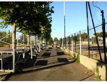 Viale asfaltato all’interno di un impianto sportivo, con alberi a sinistra e gradinate metalliche lungo il percorso. A destra si vedono recinzioni alte in rete e un campo sportivo in terra battuta, illuminato da un palo luce.