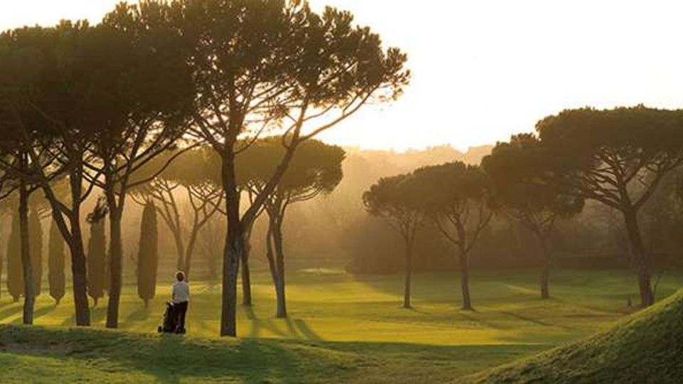 Ampio prato ondulato con grandi pini a chioma piatta e alcuni cipressi in filare, illuminati da luce calda con foschia sullo sfondo. In lontananza si intravedono colline e alberi che sfumano nella nebbia.