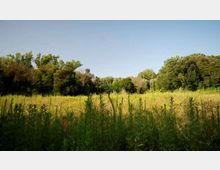 52057-photo-6e65075049e6d80cfeb679f7a2a7000c-jpgjpg