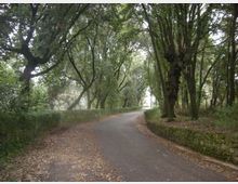 290-f91e3f1b2ef921d55afc82a22ab9a66ejpg