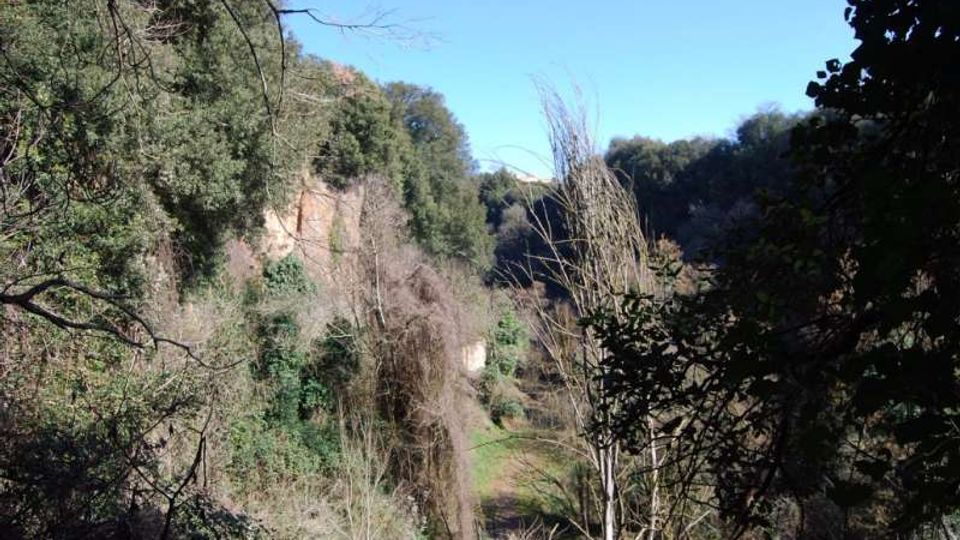 52532-photo-monumento-nturale-parco-della-forre-4-jpgjpg