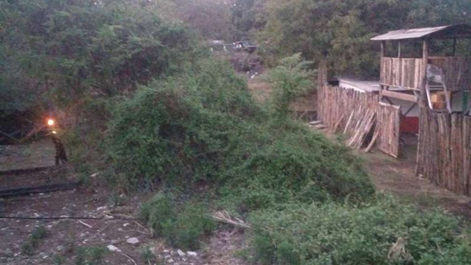 Area rurale con fitta vegetazione e alberi, con un terreno sterrato in primo piano. Sulla destra si vede una recinzione di assi di legno e una piccola struttura in legno con tettoia accanto a un edificio basso.