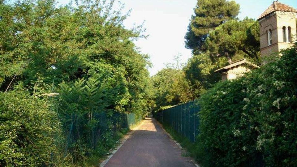 Strada asfaltata stretta tra recinzioni e fitta vegetazione, con alberi alti che costeggiano il percorso. Sul lato destro si intravede una torre in mattoni con tetto in tegole, parzialmente nascosta dal verde.