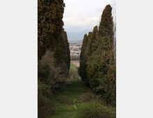 50763-photo-576a3222-jpgjpg