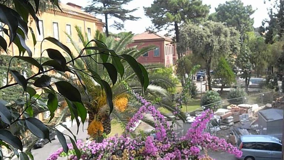 Vista da un balcone con ringhiera in metallo su un cortile alberato, con una grande bouganville fiorita viola in primo piano e palme e pini sullo sfondo. Ai lati si vedono edifici dai toni giallo e rosso e, più in basso, un’area di parcheggio con veicoli e materiali accatastati.