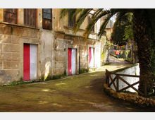 965-5330112e3d92341bd94ff0fb11716ed1jpg