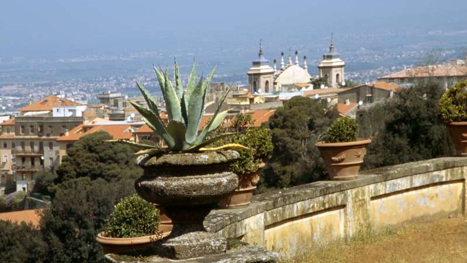 Vista panoramica da una terrazza in pietra con vaso ornamentale e pianta grassa in primo piano, affiancata da altri vasi lungo un parapetto. Sullo sfondo si vedono tetti in terracotta e una chiesa con cupola e campanili, con la città e la pianura in lontananza.