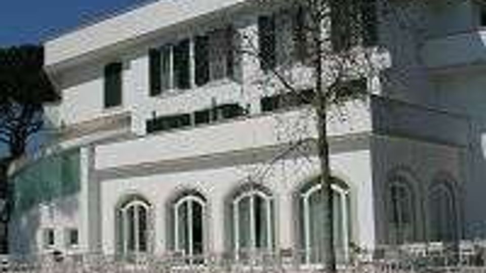 108-c90bc3fad98af3c1c5d50d64d619e1a6jpg