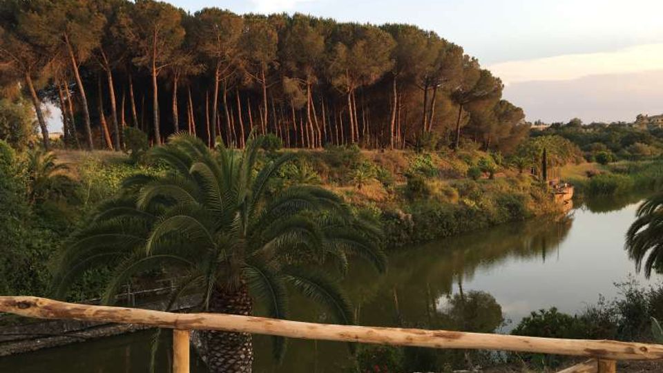 Vista su un fiume o canale tranquillo con acqua riflettente, circondato da vegetazione mediterranea e palme, con una pineta sullo sfondo. In primo piano si vede una staccionata in legno lungo un sentiero panoramico.