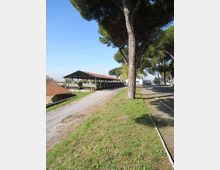 Area esterna con strada asfaltata affiancata da prato e alti pini; a sinistra si vede una lunga tettoia metallica aperta che copre veicoli cingolati. Sullo sfondo sono presenti edifici bassi e altri alberi sotto un cielo sereno.