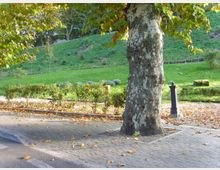 684-96aa5b286304605dd8a90bcc21d1f6e6jpg