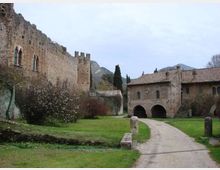 45049-photo-giardino-dsc03304-jpgjpg