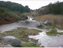 52155-photo-torcaldaracaldara-jpgjpg