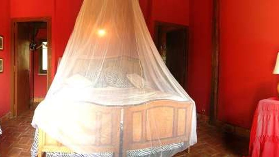 Camera da letto con pareti rosse e pavimento in piastrelle, con letto in legno al centro coperto da una zanzariera bianca. Ai lati ci sono comodini e lampade, tessuti a motivo zebra e una finestra con tende coordinate.