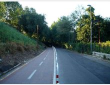 Strada asfaltata in lieve curva affiancata da una pista ciclabile rossa, separate da una barriera bassa con paletti bianchi e rossi. Lungo il percorso ci sono lampioni e fitta vegetazione con alberi e cespugli su entrambi i lati.