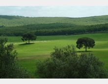 52014-photo-r-n-gattaceca-veduta-quintavalle-2-1-jpgjpg