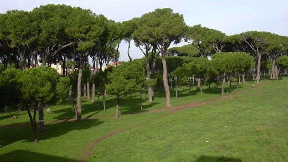 51909-photo-img412-604-jpgjpg