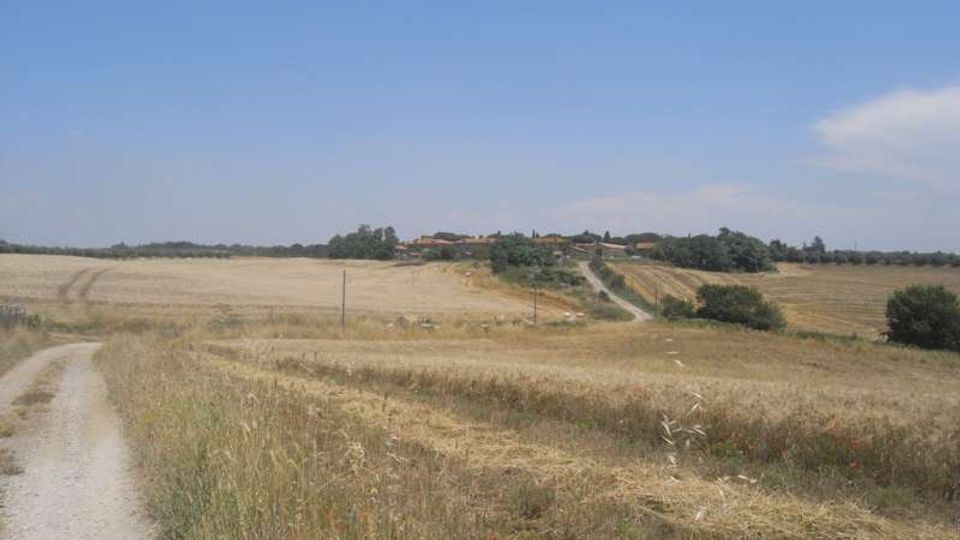 Strada sterrata che attraversa ampi campi di grano e vegetazione secca in una campagna pianeggiante, con un piccolo borgo di case lontano all’orizzonte. Cielo azzurro limpido sopra il paesaggio rurale.