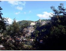 Vista panoramica di un borgo collinare con case in pietra, un complesso storico sulla sommità e una torre cilindrica, circondato da boschi. In primo piano si vedono alberi e vegetazione, con cielo azzurro e nuvole sullo sfondo.