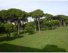 51909-photo-img412-604-jpgjpg