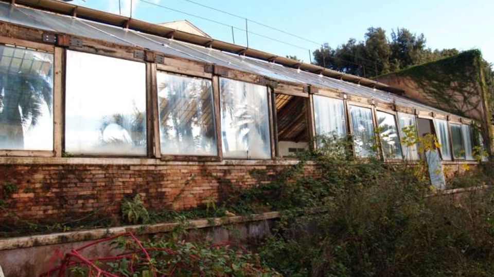 Edificio basso tipo serra con lunga fila di finestre a vetri e base in mattoni, con struttura del tetto in parte visibile. L’area circostante è invasa da vegetazione incolta, con alberi sullo sfondo e cielo azzurro.