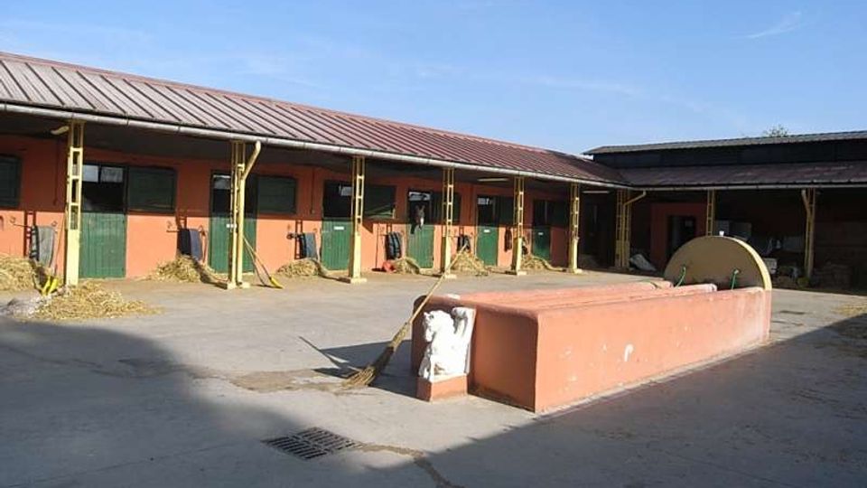 Cortile di una scuderia con pavimentazione in cemento e una fila di box con porte verdi sotto una tettoia metallica. Al centro c’è una lunga mangiatoia rosa e attrezzi da stalla, con paglia sparsa vicino alle entrate.