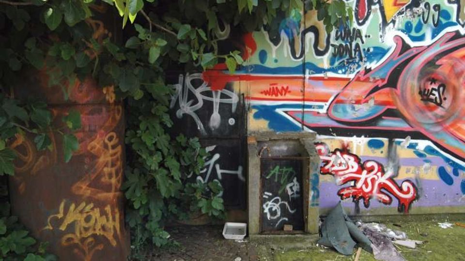 Muro esterno ricoperto da graffiti e murales colorati, con vegetazione fitta che invade il lato sinistro e parzialmente copre la superficie. Alla base si vedono una piccola porta o pannello metallico e detriti sul terreno in un’area pavimentata.