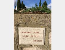 Lapide rettangolare in marmo incassata in un muretto di pietra, con iscrizione in rosso “MANIBUS DATE LILIA PLENIS VIRGILIO”. In alto si vedono erba e terreno, con cipressi sullo sfondo sotto un cielo azzurro.