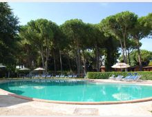 Piscina all’aperto con acqua turchese e bordo in pietra, circondata da file di lettini e ombrelloni. Sullo sfondo si vede un fitto bosco di alti pini e vegetazione, con cielo sereno.